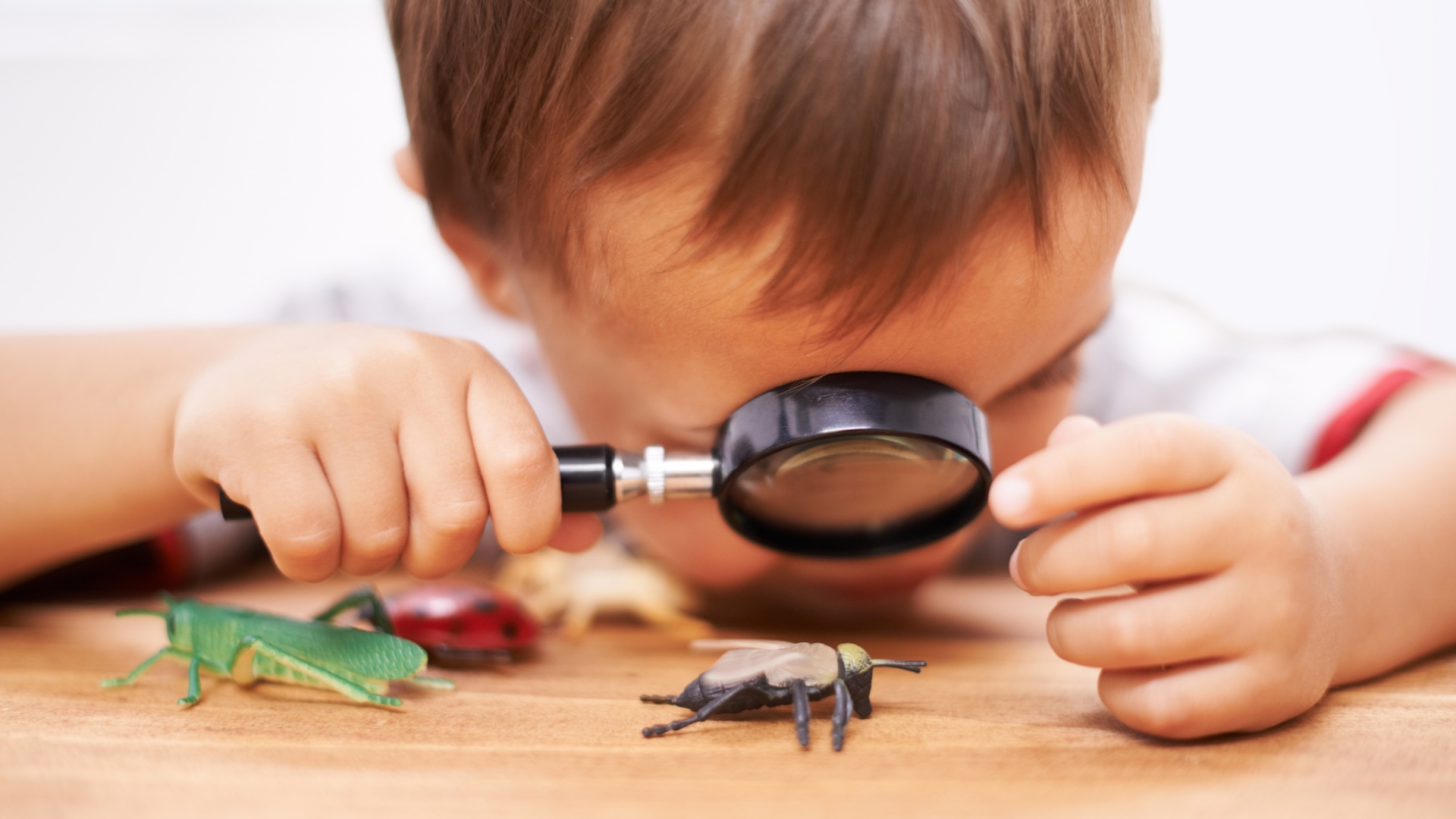 Curiosity in Child Development: Why the "Right" Questions Matter