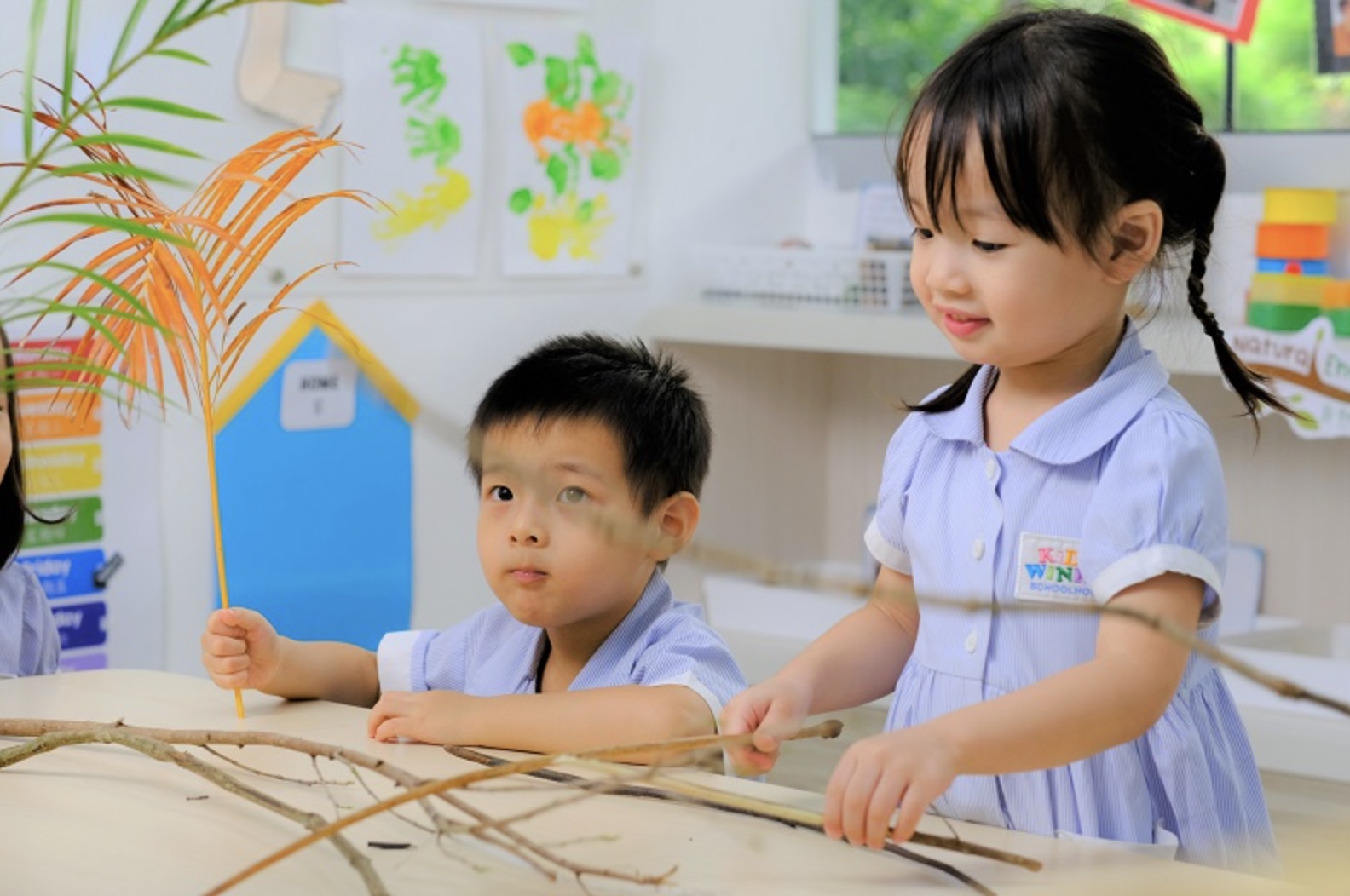 Seeing Curiosity in Action: What It Looks Like at Our Centres