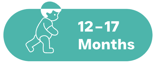 12 to 17 months — early language and social awareness