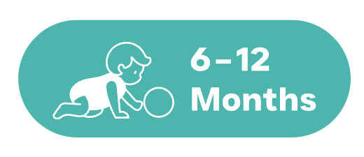 6 to 12 months — movement and active exploration