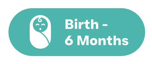 Birth to 6 months — bonding and sensory security