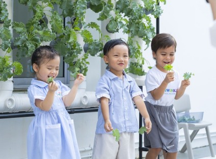 preschool outdoor learning