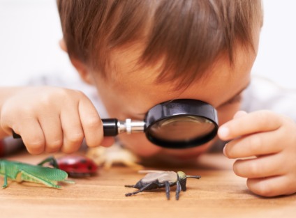 Curiosity in Child Development: Why the "Right" Questions Matter